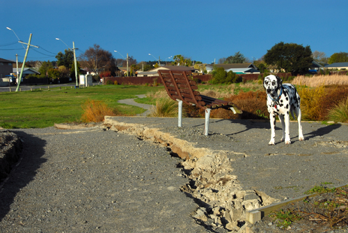 SN12 - Education - Counselling - quake damaged park
