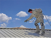 Paint Roof
