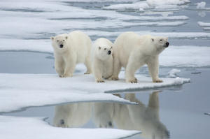 SND16-wk1-Climate change consultation