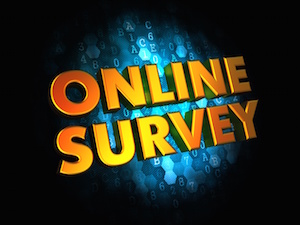 SND19-wk3-Online voting
