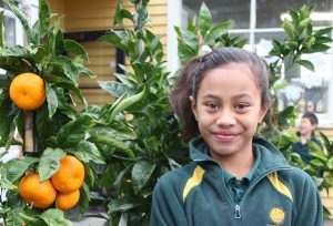 KidsCan is helping low decile schools to plant orchards so they can grow their own food