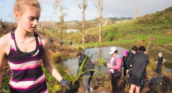 Ways to generate kaitiakitanga in your school