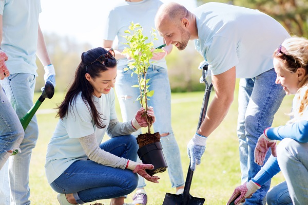 Win trees for your school to plant