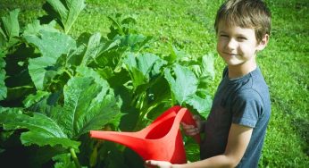 Schools invited to enter students into young gardener awards
