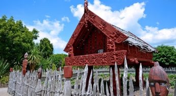 Te wiki o te reo Māori in your school