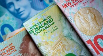 New pay rates, work matrix: What schools & Kura need to do in term 3 for admin support staff