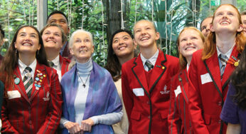 STEAM ahead with new future-focused pathways