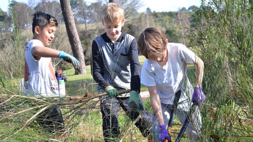 Op-Ed: Making the natural world the foundation of all school education systems