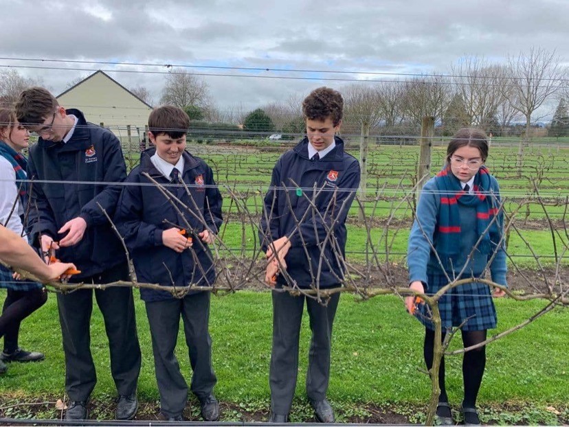 Wine-making a passion project for St Peter’s Cambridge Year 10-12 students