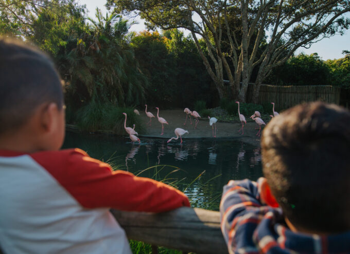 Zoo-topia sparks learning joy