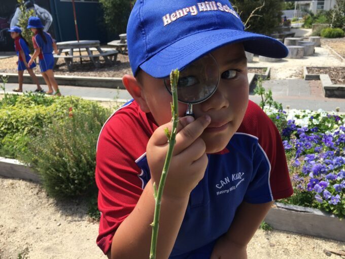 Henry Hill School: Working to grow things well