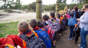 Learning wild: Exploring zoos and wildlife parks