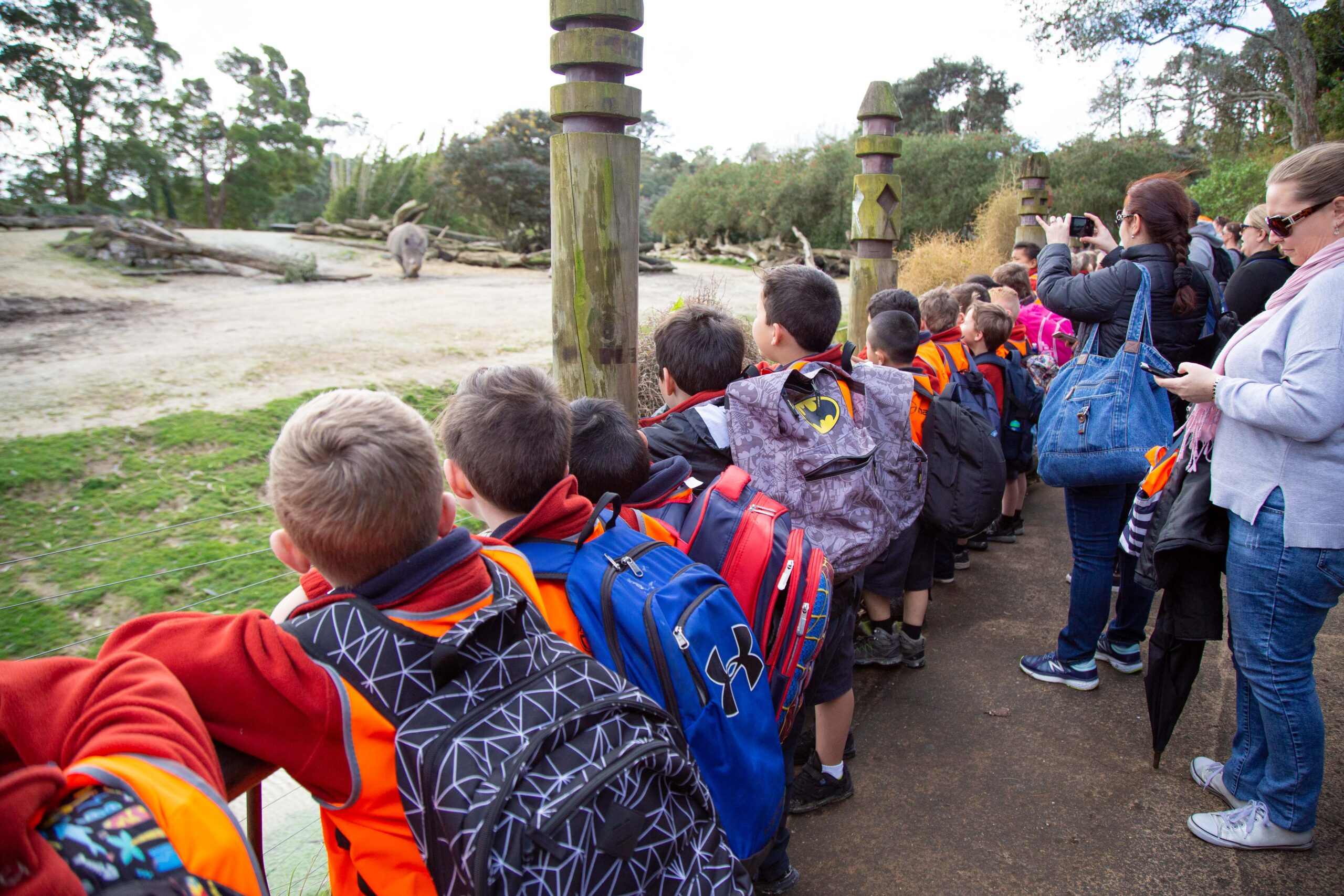 Learning wild: Exploring zoos and wildlife parks