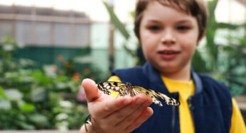 Learning with zoos and wildlife parks
