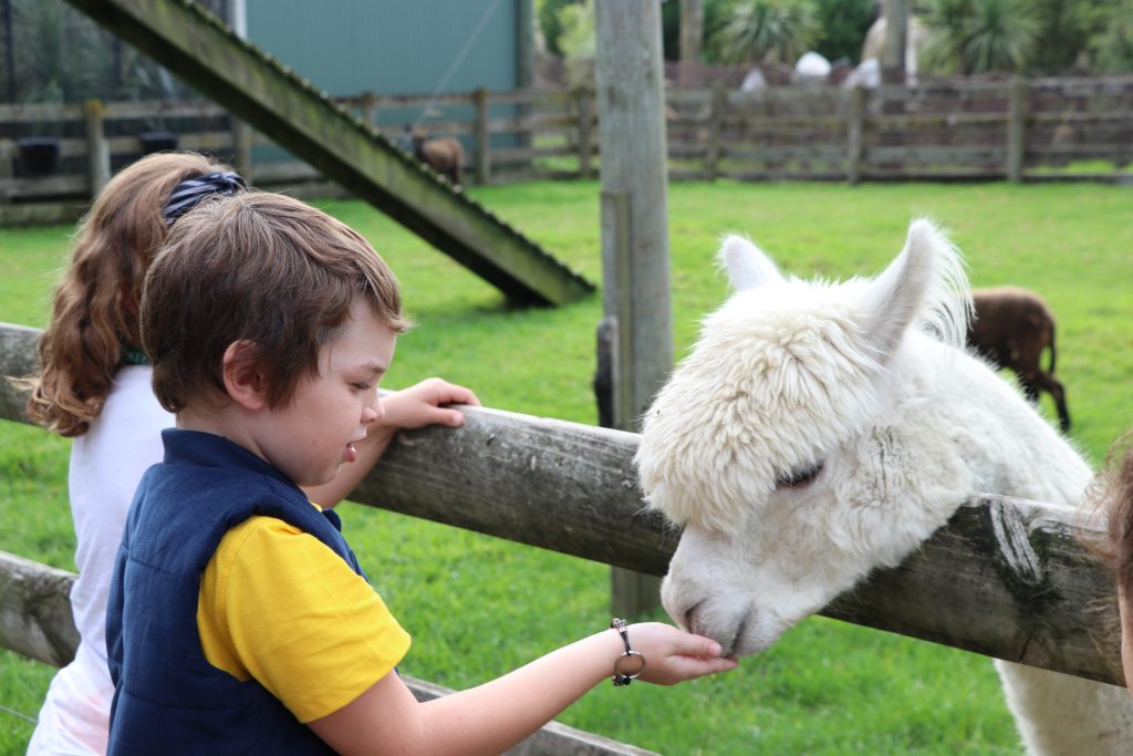 zoos, wildlife parks