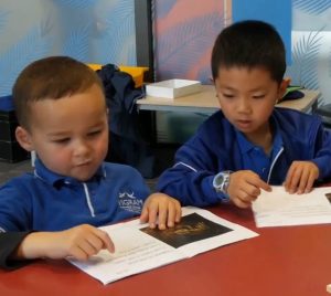 literacy development