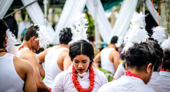 Tulī Takes Flight (Tulī) scholarships for Pacific communities close soon