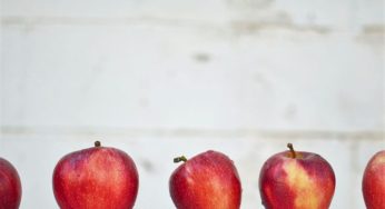 Free lunches funding set to be slashed