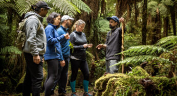 Kohutapu Lodge: Where tourism meets education