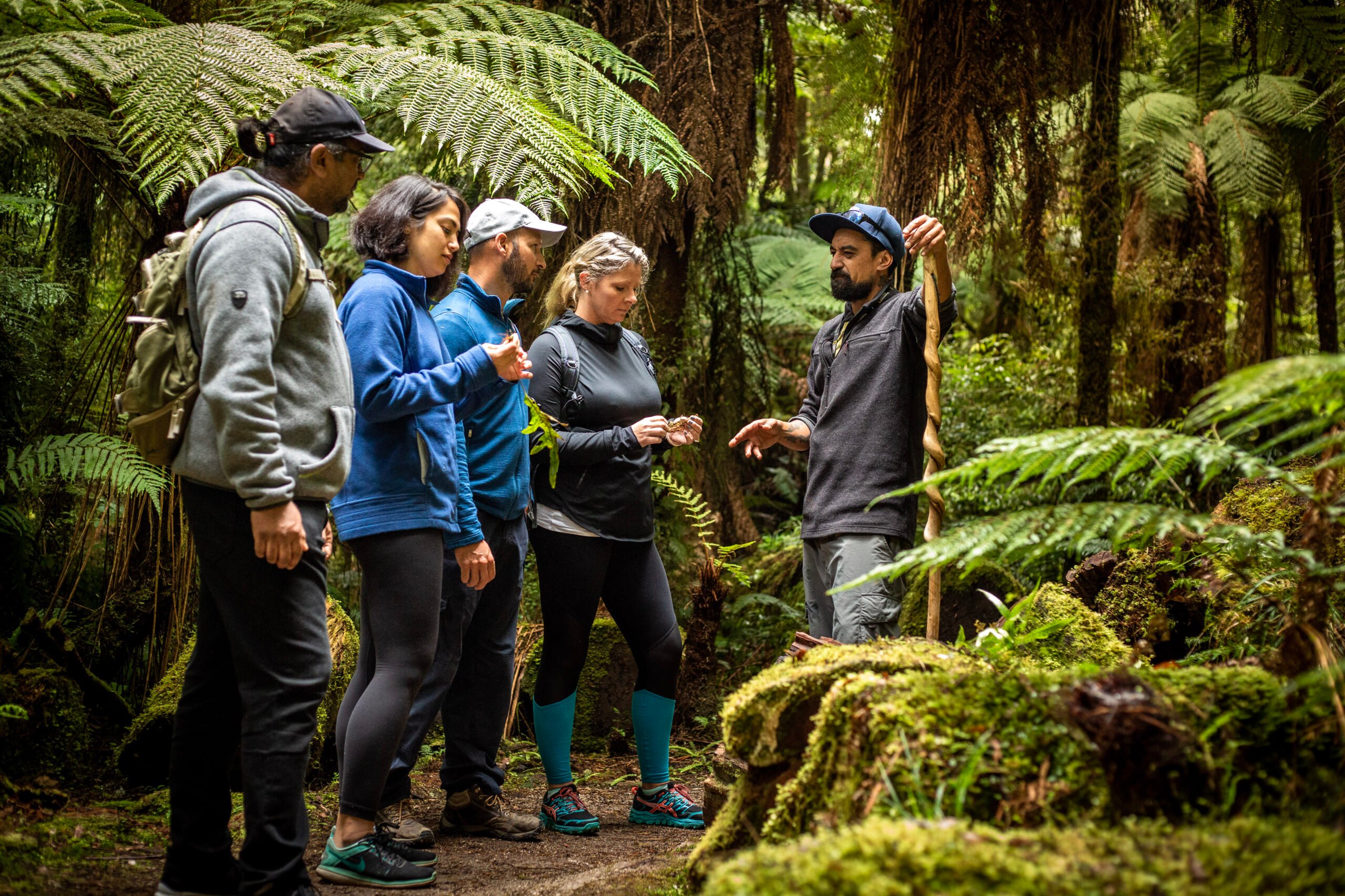 Kohutapu Lodge: Where tourism meets education
