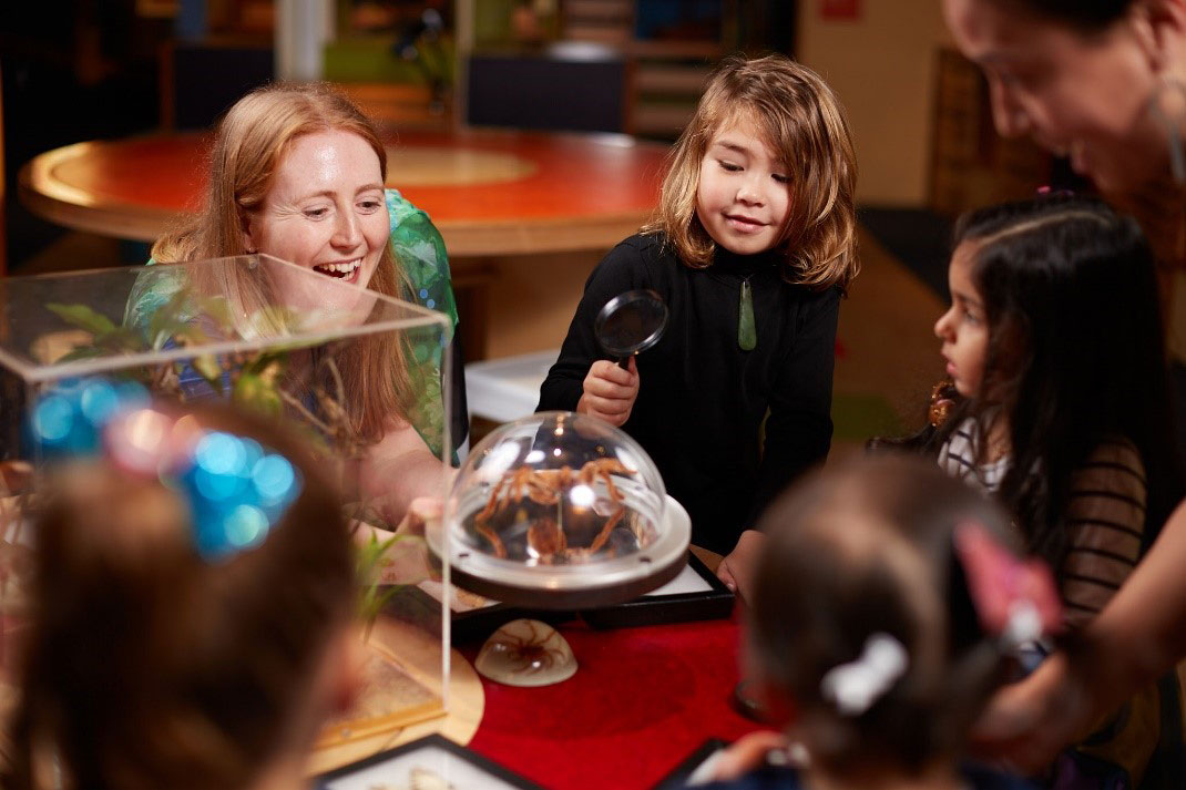 Discover Auckland Museum’s Unforgettable Learning Experiences