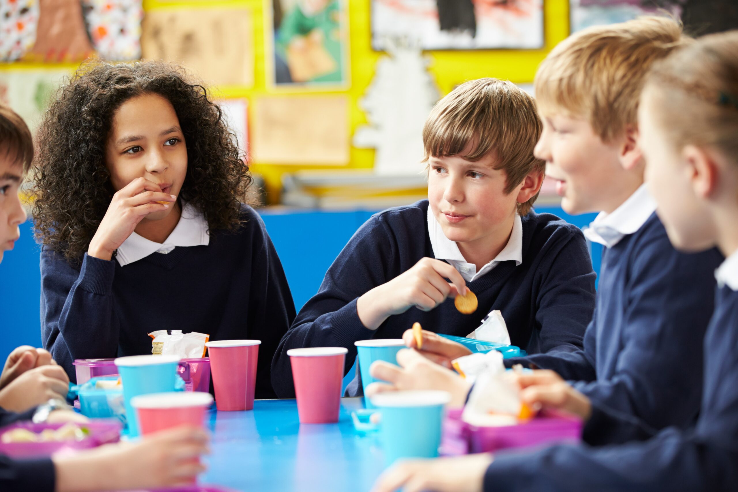 Permanent funding needed for lunch programme, Health Coalition Aotearoa say